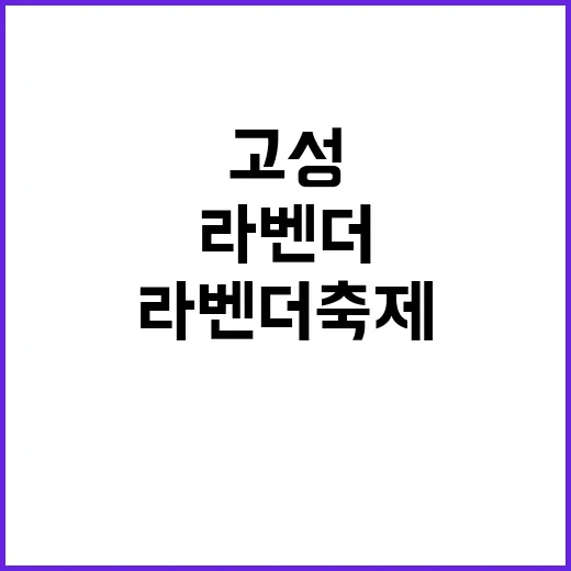 고성 라벤더축제 즐…