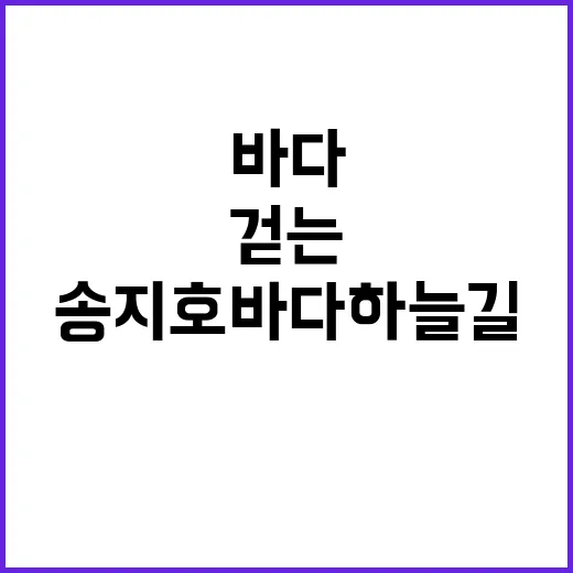 송지호 바다하늘길 따라 걷는 방법