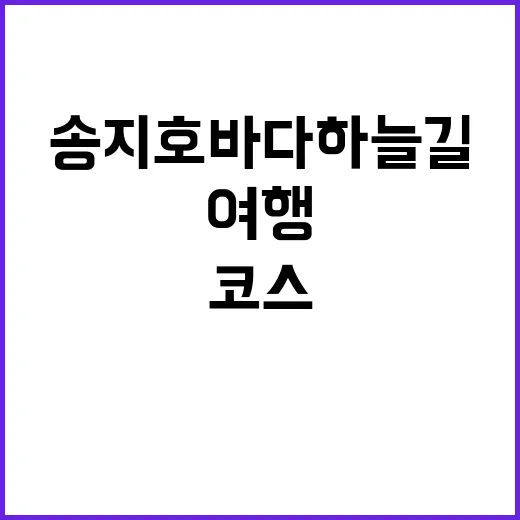 송지호 바다하늘길,…