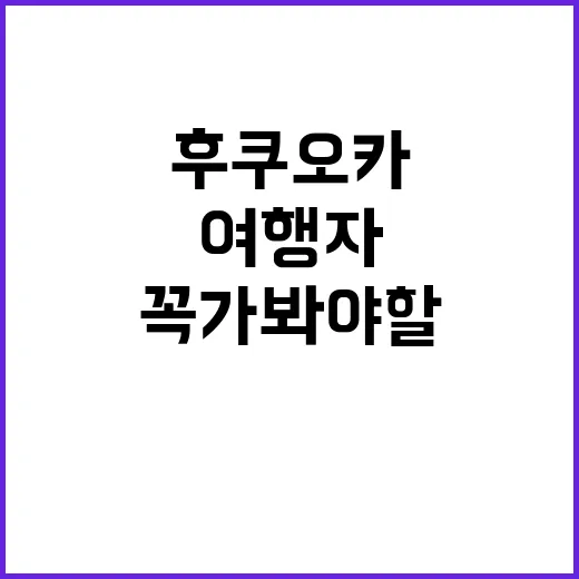 후쿠오카, 꼭 가봐야 할 곳들: 여행자의 시선