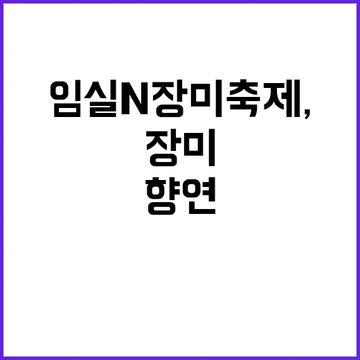 임실N장미축제, 장미의 향연을 만끽하는 방법