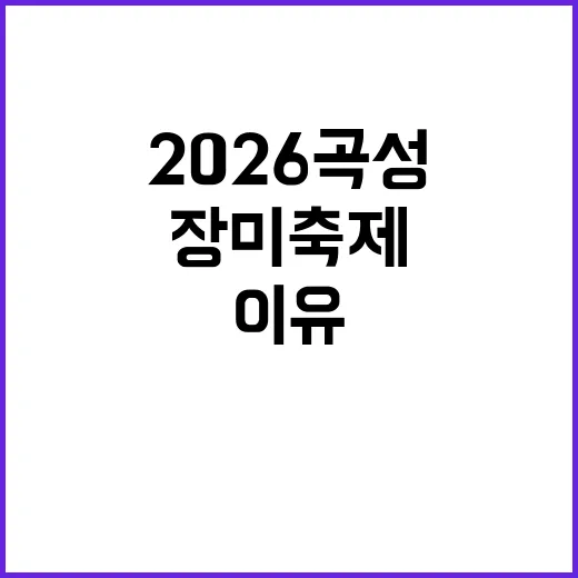 2026 곡성 장미…
