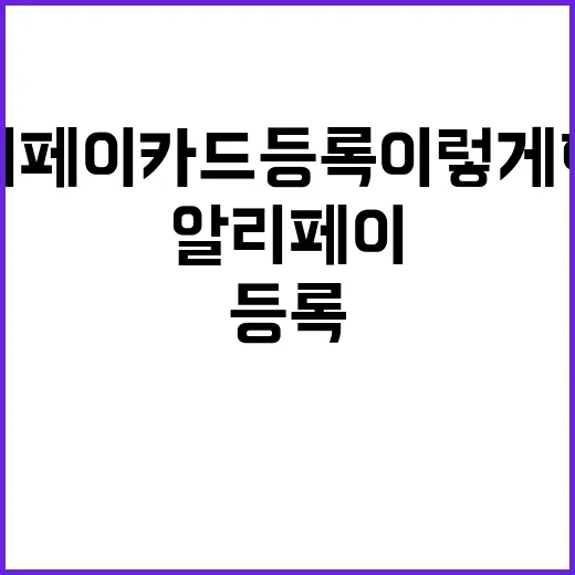 알리페이 카드등록 …
