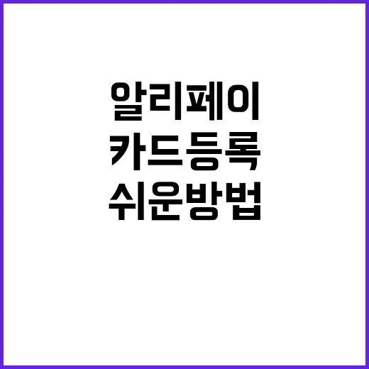 알리페이에 카드 등…
