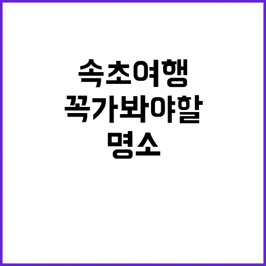초보자를 위한 속초 여행: 꼭 가봐야 할 명소들