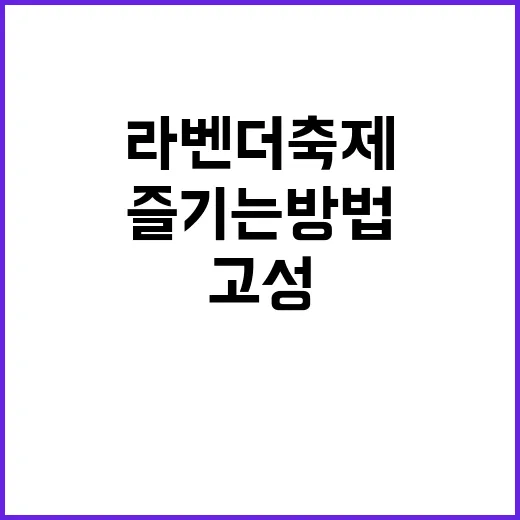 고성 라벤더축제를 제대로 즐기는 방법