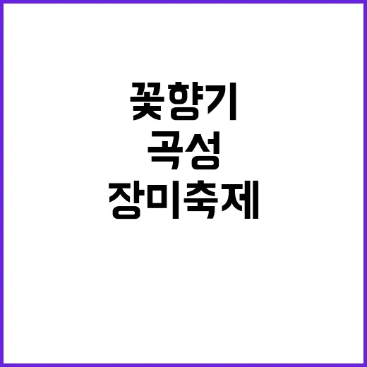 곡성 장미축제를 즐기는 방법: 꽃향기 속으로의 초대