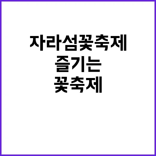 자라섬 꽃축제 제대…