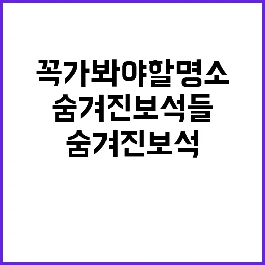 속초에서 꼭 가봐야…