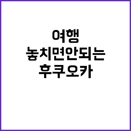 후쿠오카에서 놓치면…
