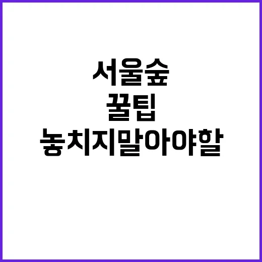 서울숲에서 즐기는 …