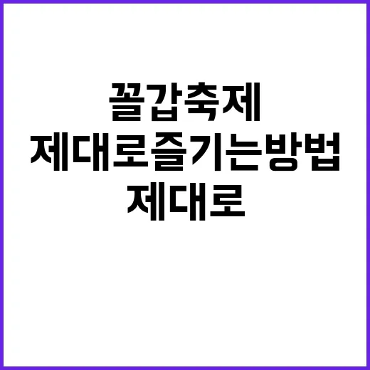 꼴갑축제를 제대로 …