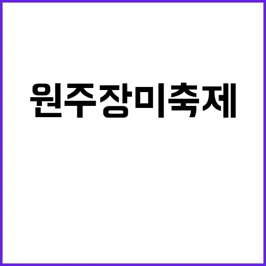 원주 장미축제에서 꼭 경험해야 할 것들