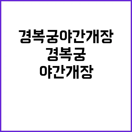 경복궁 야간개장, 이렇게 즐겨보세요