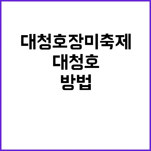 대청호 장미축제 즐…
