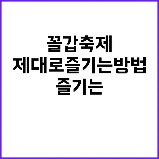 꼴갑축제 제대로 즐…