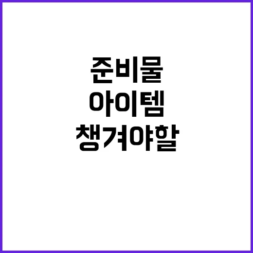 일본여행 준비물: …