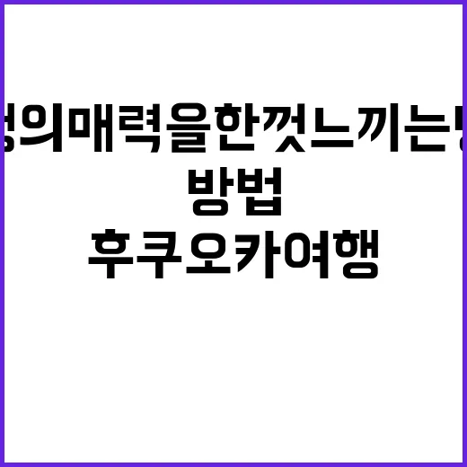 후쿠오카 여행의 매력을 한껏 느끼는 방법