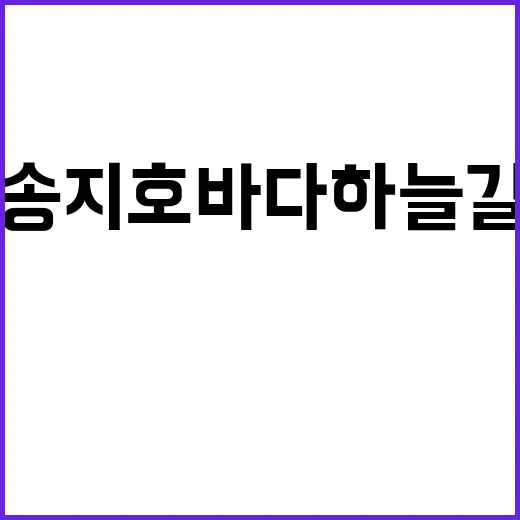 초보자를 위한 송지호 바다하늘길 탐방법