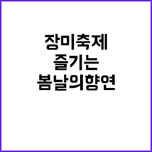 장미축제 즐기는 방…