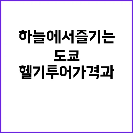 도쿄를 하늘에서 즐기는 방법, 헬기 투어 가격과 팁