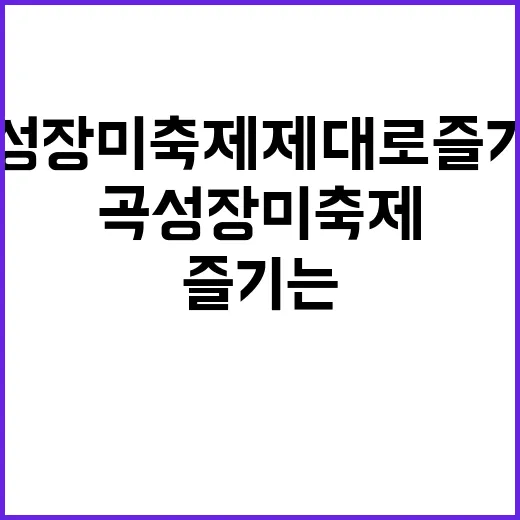 곡성 장미축제 제대…
