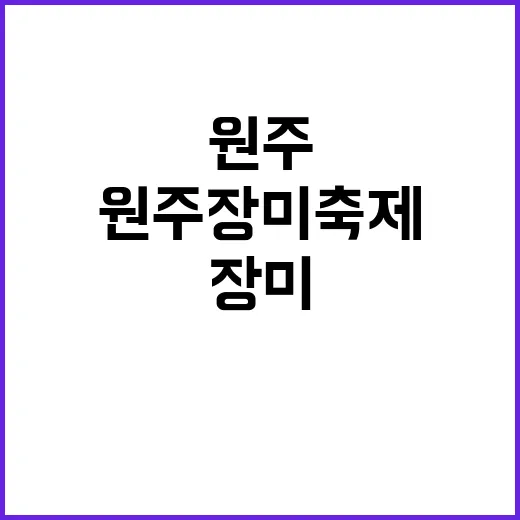 장미 향기에 물들다: 원주 장미축제 즐기는 방법