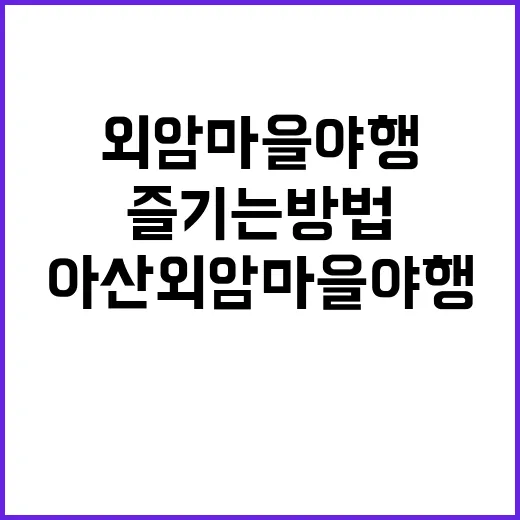 아산외암마을 야행을…