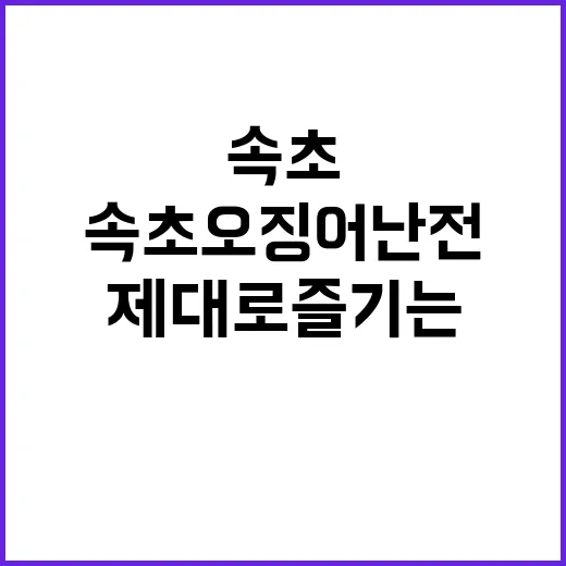 속초 오징어난전에서 제대로 즐기는 방법