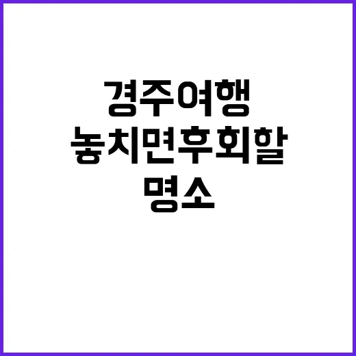 경주 여행: 놓치면…