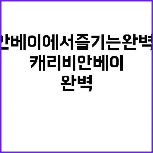 캐리비안베이에서 즐…