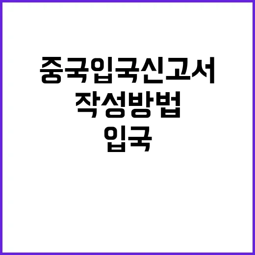 중국 입국신고서 작…