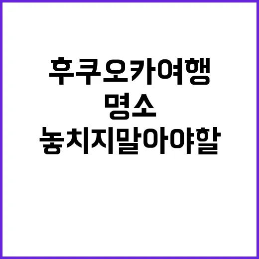 후쿠오카 여행, 놓…