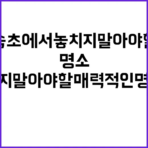 속초에서 놓치지 말…