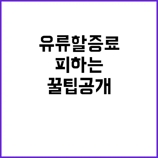 6월 유류할증료 피하는 방법, 꿀팁 공개!