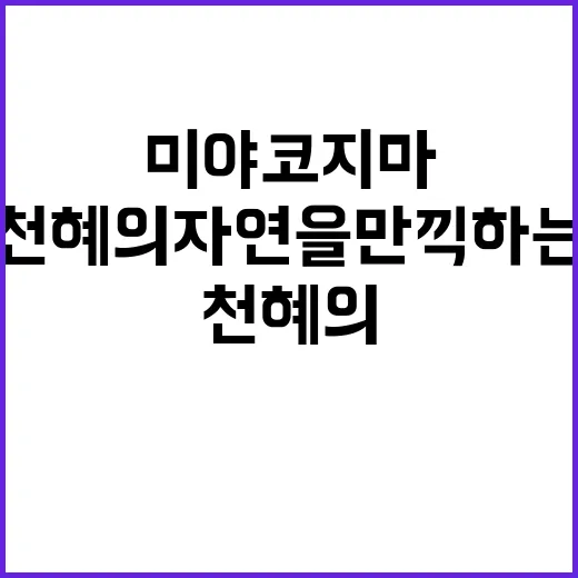 미야코지마, 천혜의…