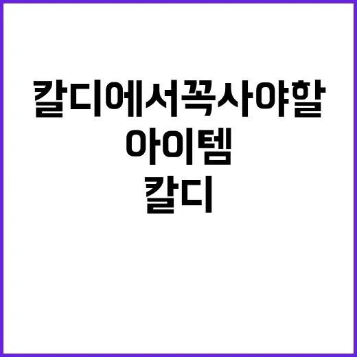 칼디에서 꼭 사야 …