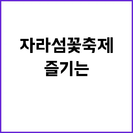 자라섬 꽃축제를 즐…