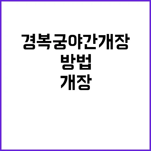 경복궁 야간개장, …