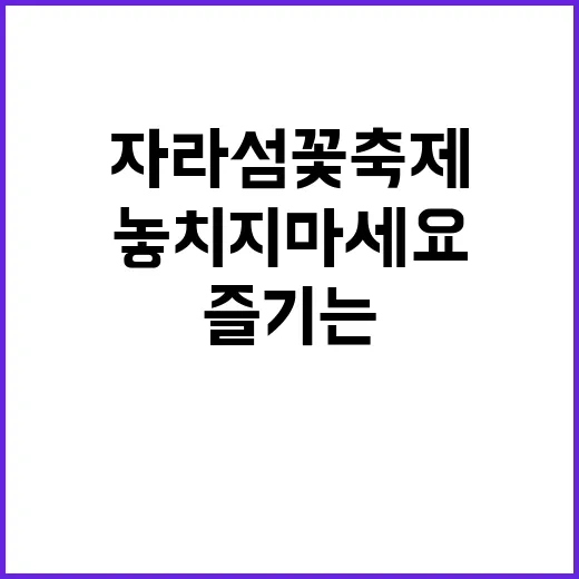 자라섬 꽃축제를 즐…