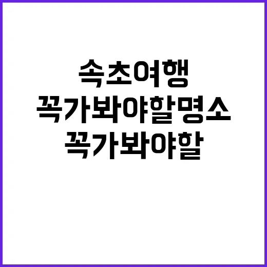 속초 여행: 꼭 가…