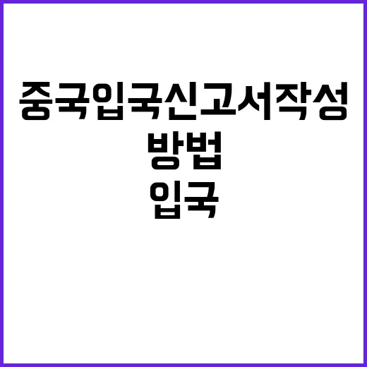 중국 입국신고서 작…