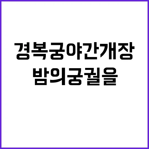 경복궁 야간개장, …