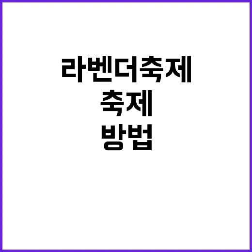 라벤더축제를 만끽하…