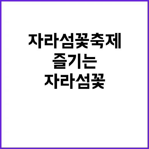 자라섬 꽃축제를 제…