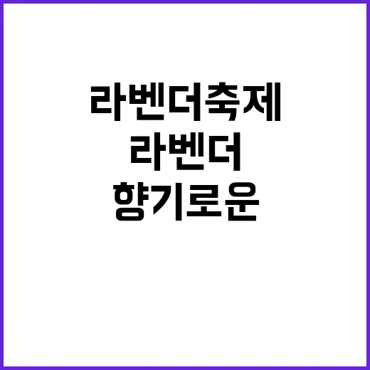 라벤더축제 즐기는 …