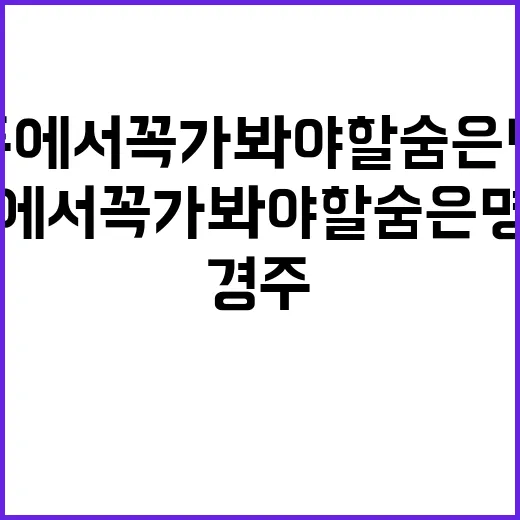 경주에서 꼭 가봐야…