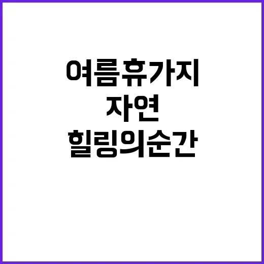 국내 여름 휴가지 추천: 자연이 주는 힐링의 순간
