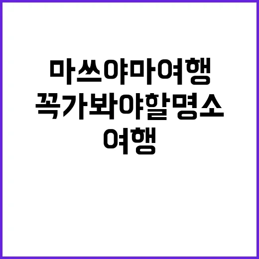 일본 마쓰야마 여행…