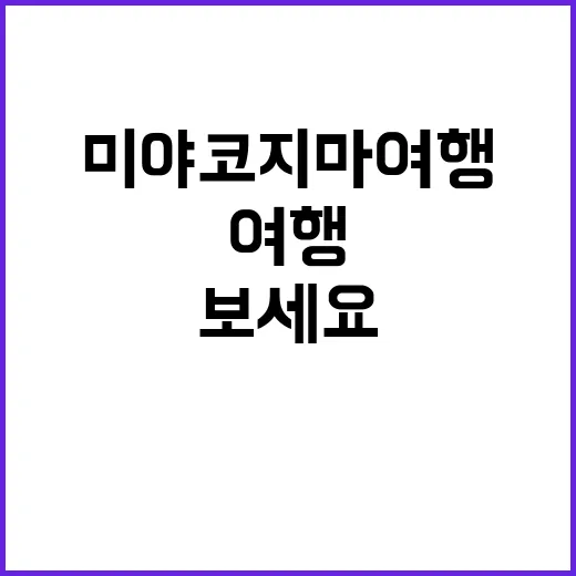 미야코지마 여행, …